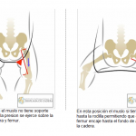 comparativa de posición de la cadera 1