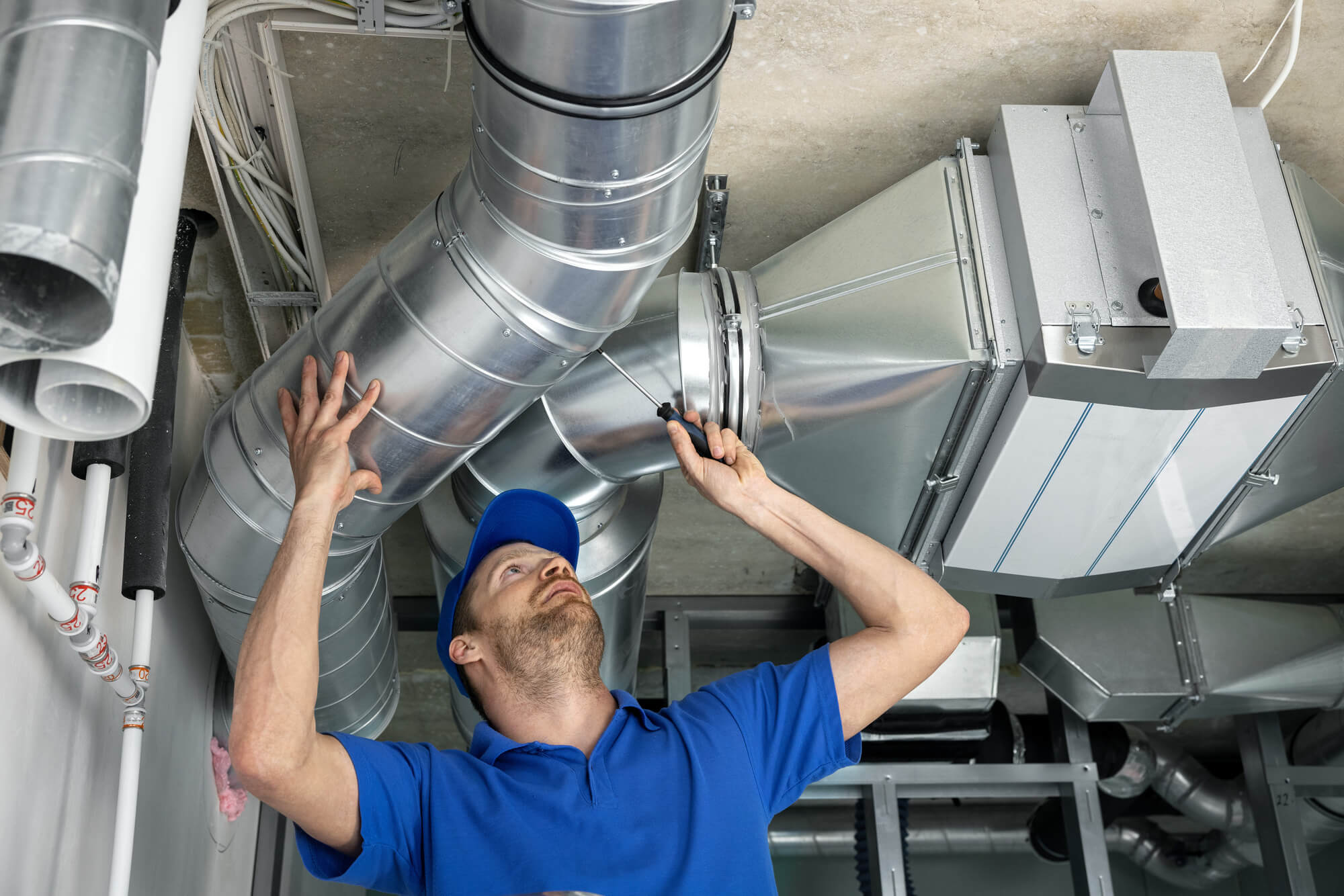 Reducing Pet Allergens In Your Home: How Your HVAC System Can Help